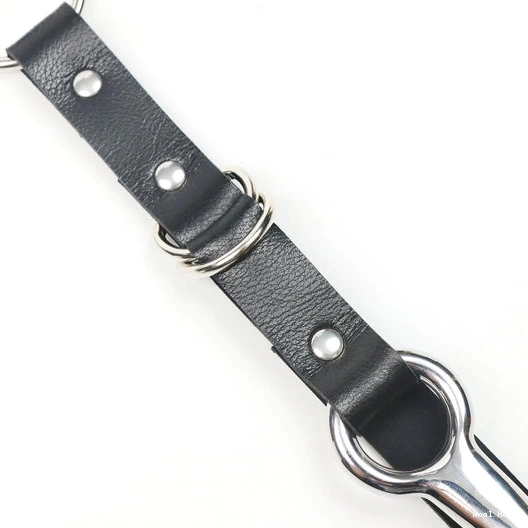Hook Leash 5853 Kinky and with Collar EverydayUse Anal 0807